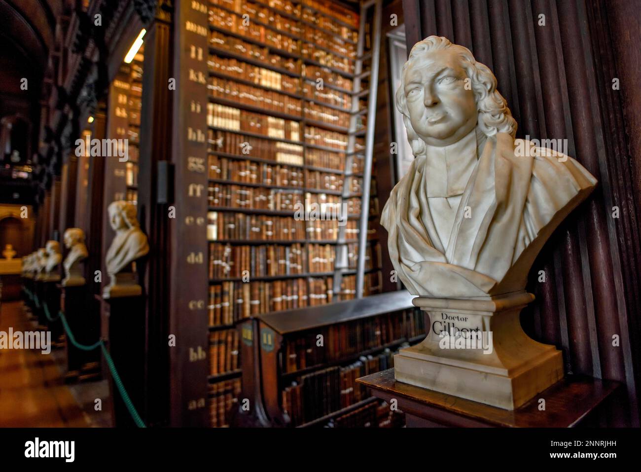 Busts in the Long Room, the old library of Trinity College, University, Dublin, Republic of