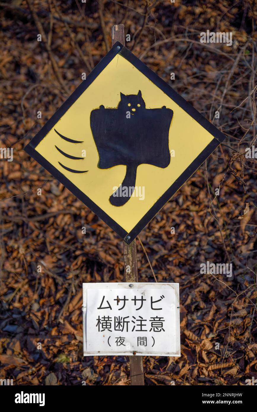 Curious shield, warning against Japanese Giant Squirrel (Petaurista
