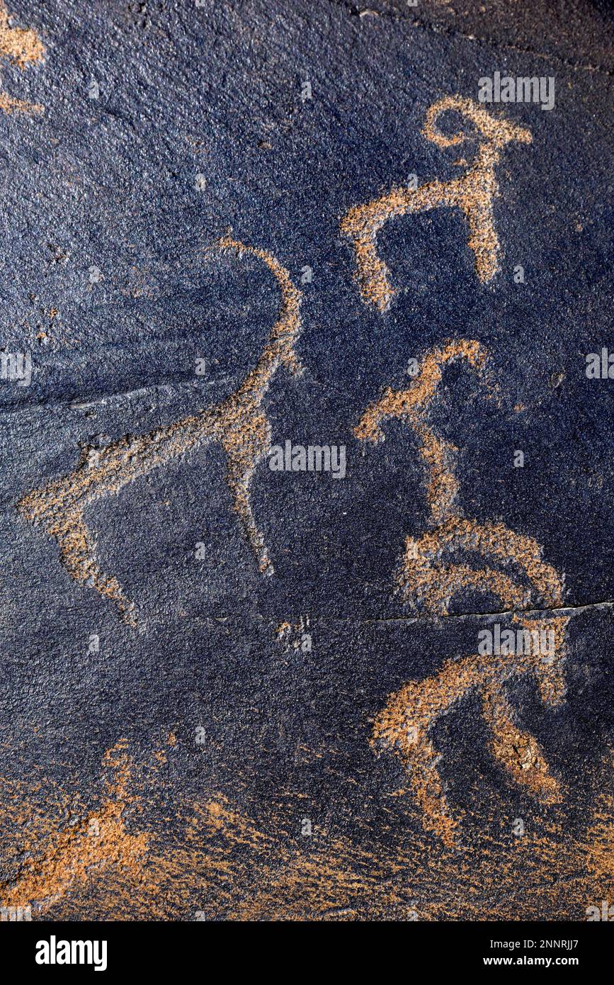 Petroglyphs of Siberian ibex (Capra sibirica), up to 2500 years old, West Karakol Valley, Tien Shan Mountains, Naryn region, Kyrgyzstan Stock Photo
