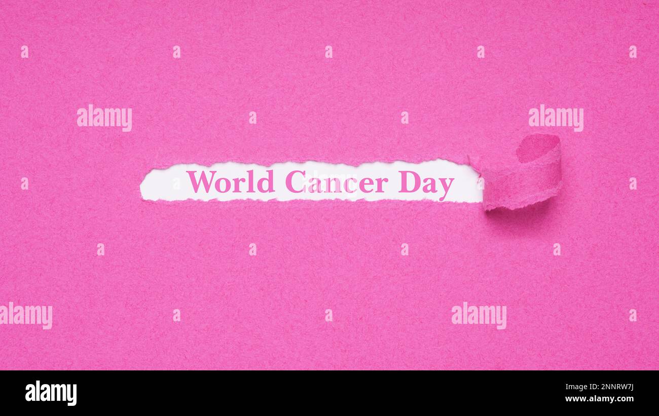 World Cancer Day is celebrated on February 4th to raise awareness and prevention - pink banner background Stock Photo