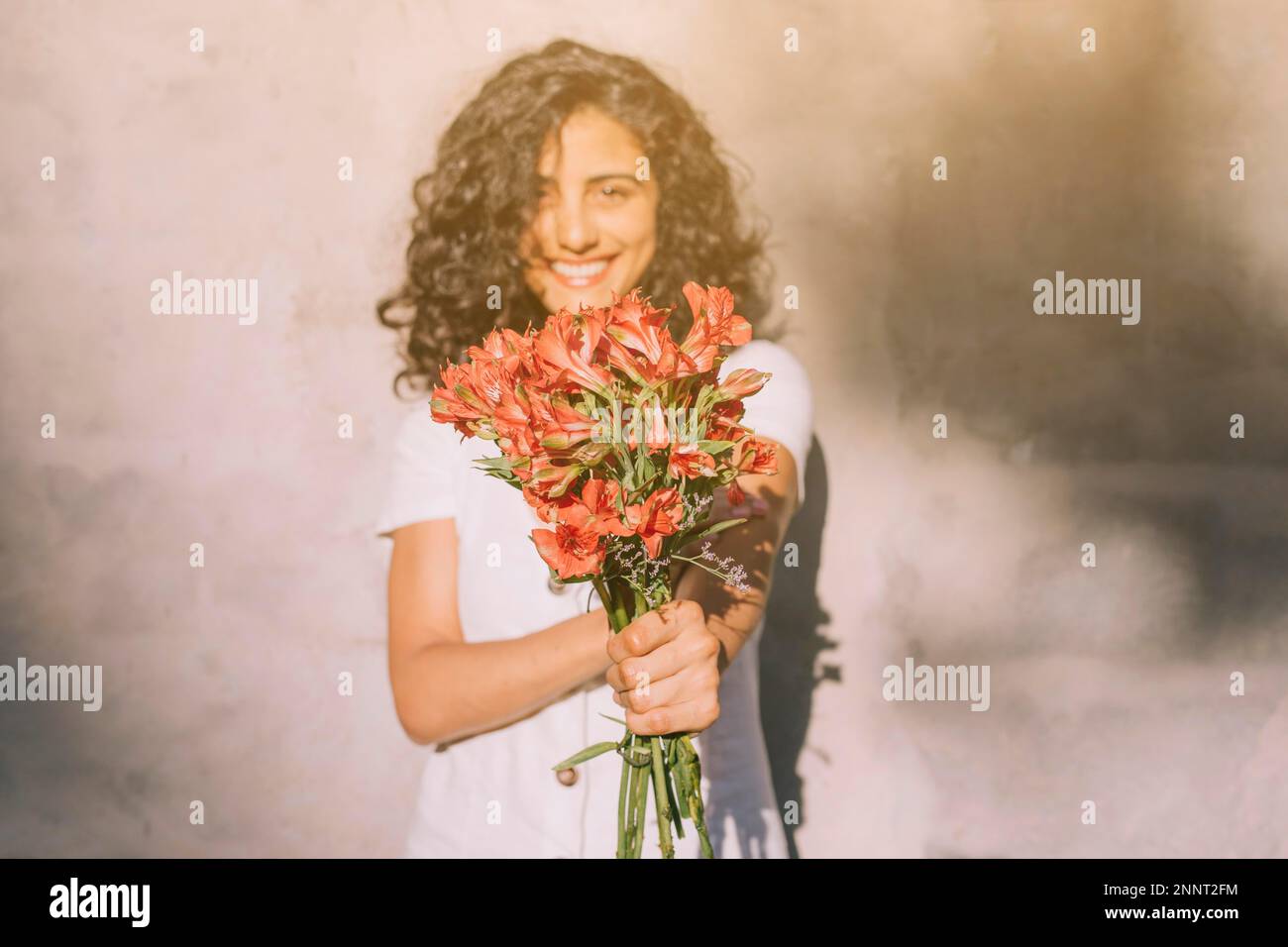 young woman standing against wall holding (alstroemeria) red flower bouquet hands Stock Photo