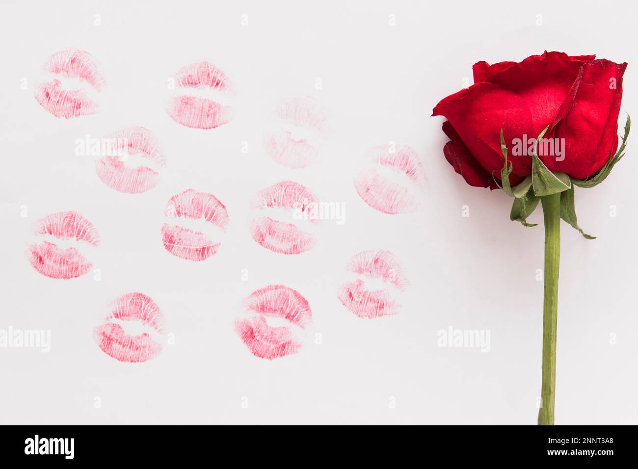 Fresh flower lipstick kiss paper Stock Photo Alamy