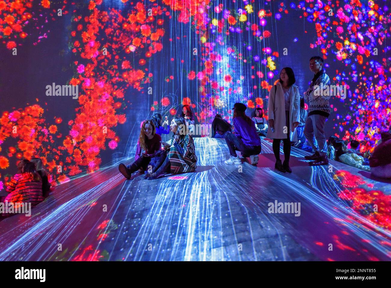 Team lab hires stock photography and images Alamy