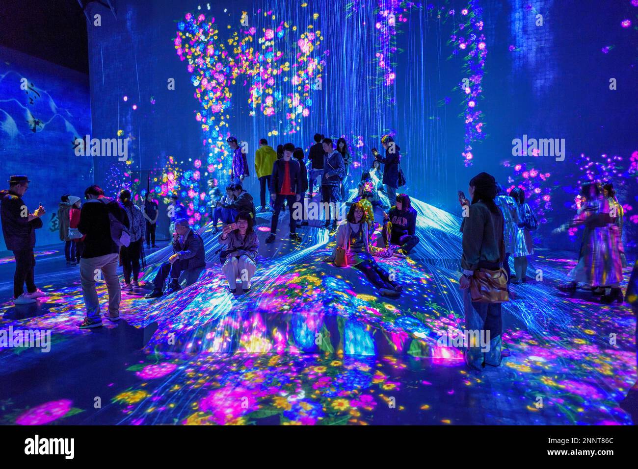 Digital Art Museum, Epson Team Lab Borderless, Odaiba Island, Tokyo