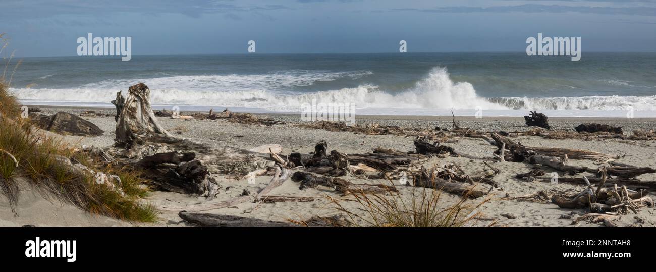 Driftwood on Ship Creek Park beach, Haast, Westland District, West Coast, South Island, New Zealand Stock Photo