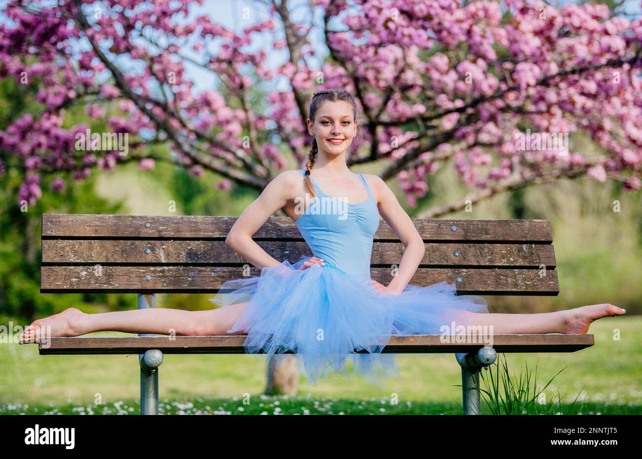 Ballerina in blue dress doing splits under cherry blossom, Battle Point Park, Bainbridge Island, Washington, USA Stock Photo