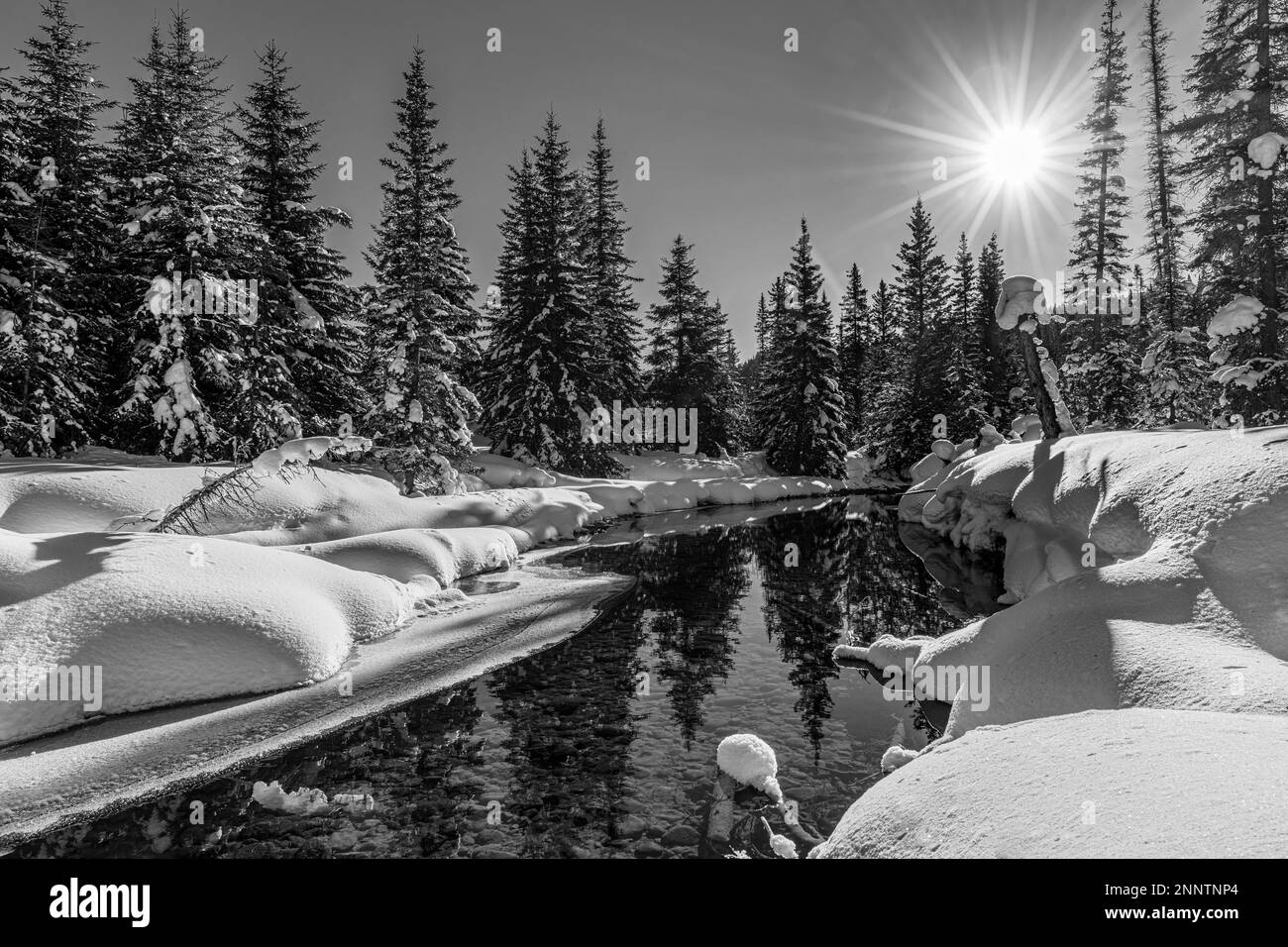 Pond in snow-covered forest in black and white, Bow River Channel, Lake Louise, Alberta, Canada Stock Photo