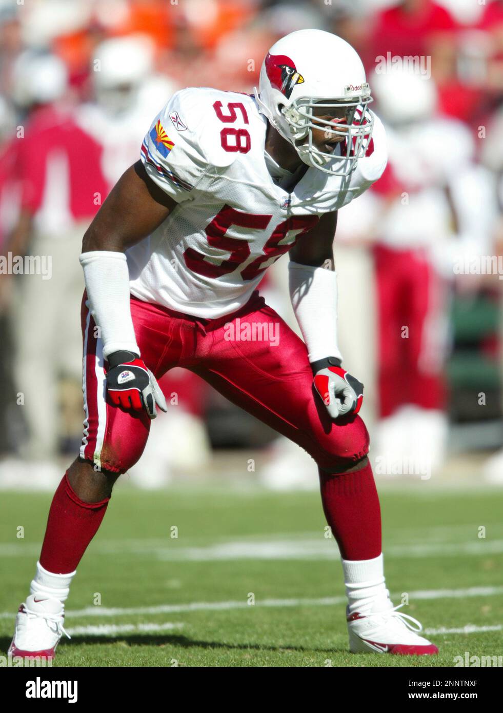 Arizona Cardinals crocs worn by Karlos Dansby 79987921007-60-395705.jpeg?  main image 2