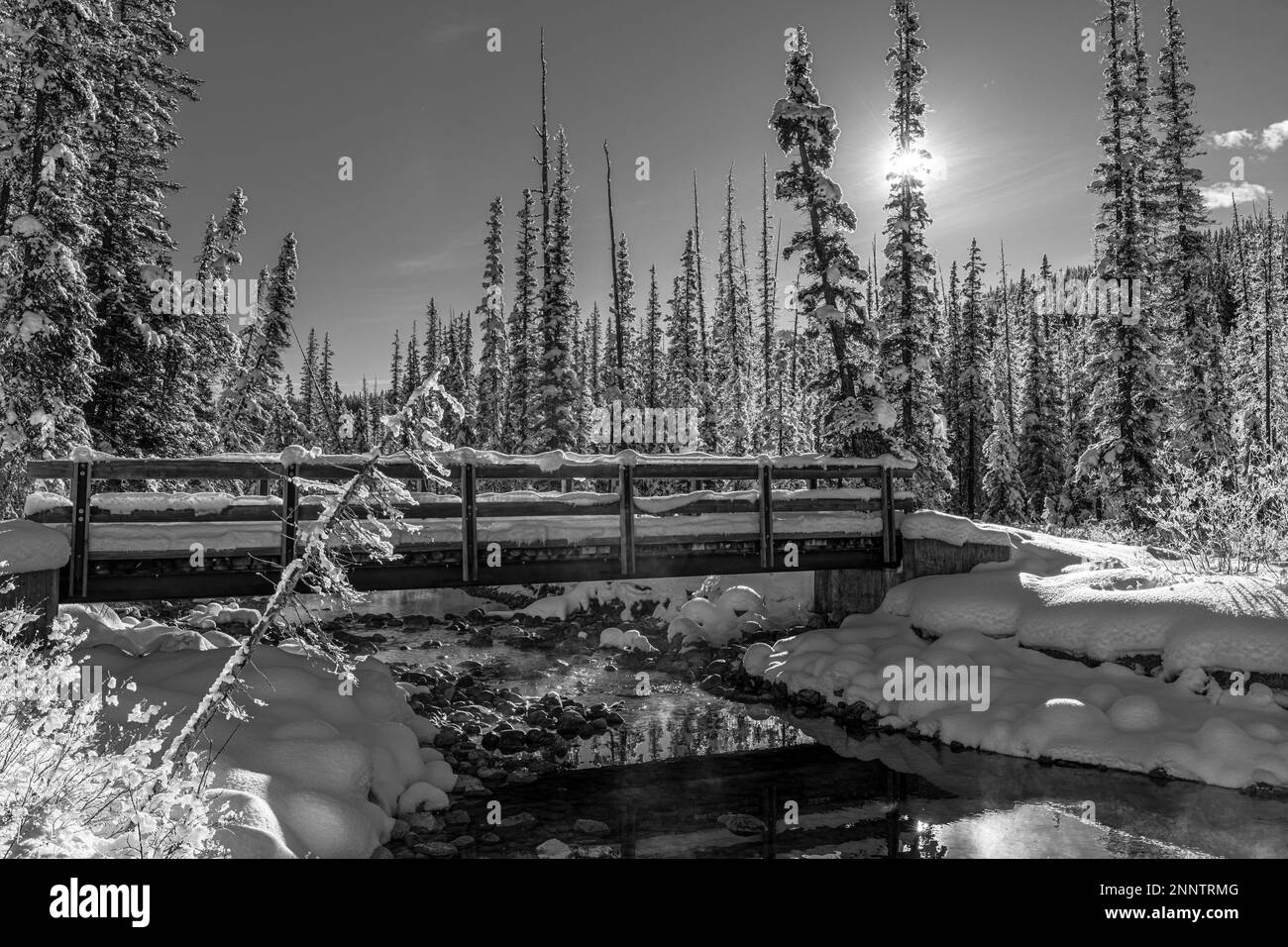 Bridge over channel of Bow River in black and white, Lake Louise, Alberta, Canada Stock Photo