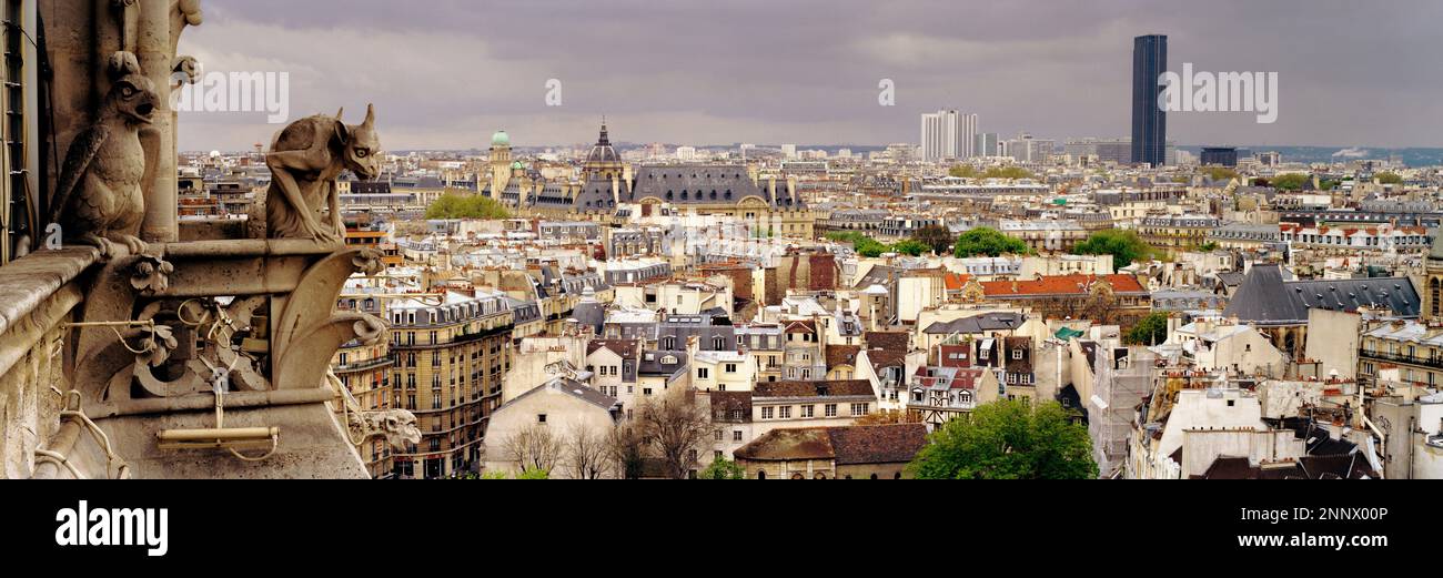 View of Paris from roof of Notre Dame Cathedral, Paris, France Stock ...