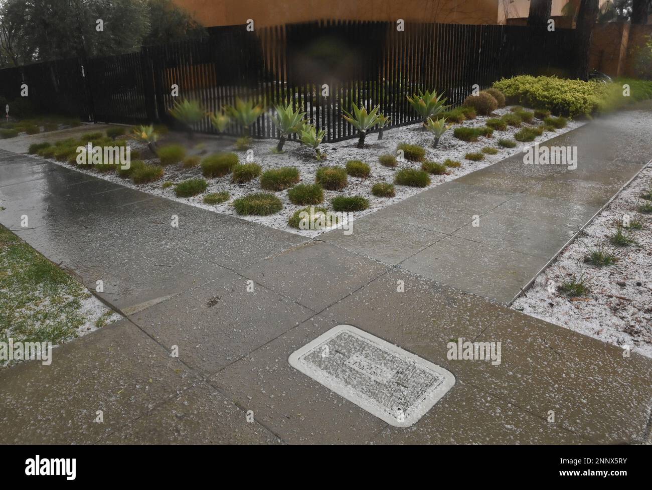 Beverly Hills, United States. 25th Feb, 2023. Hail can be seen in Beverly Hills, California on Saturday, February 25. 2023. Parts of California remained under severe winter weather warnings for a second day on Saturday as state officials continued to discourage travel for the duration of the weekend. Blizzard warnings are also in effect through Sunday in the central and southern Sierra Nevada and Transverse and Peninsular mountain ranges. The last time the service's Los Angeles office issued a blizzard warning was 1989. Photo by Jim Ruymen/UPI Credit: UPI/Alamy Live News Stock Photo