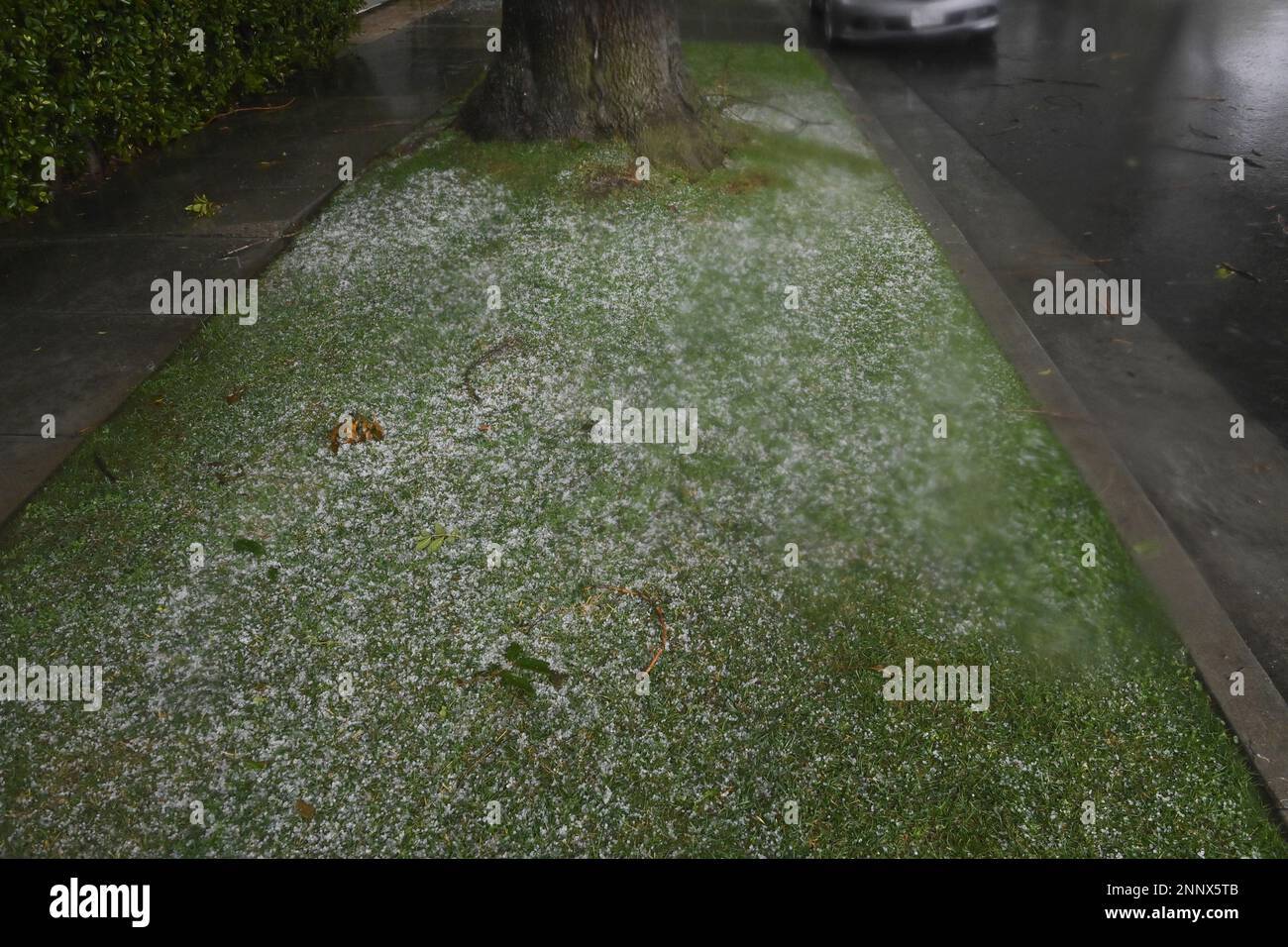 Beverly Hills, United States. 25th Feb, 2023. Hail can be seen in