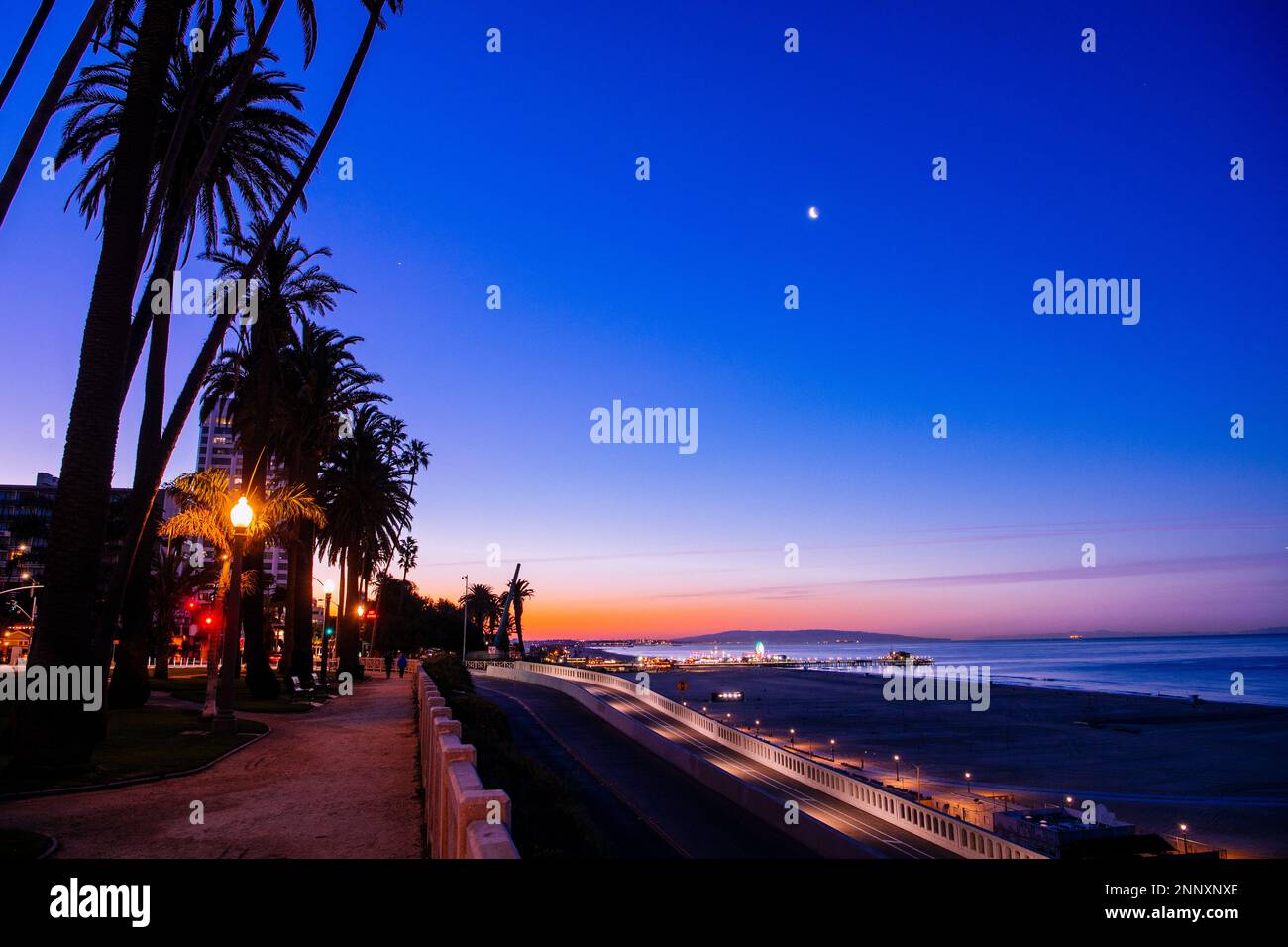 Palm trees at sunset, Zuma Beach, Malibu, California, USA Stock Photo