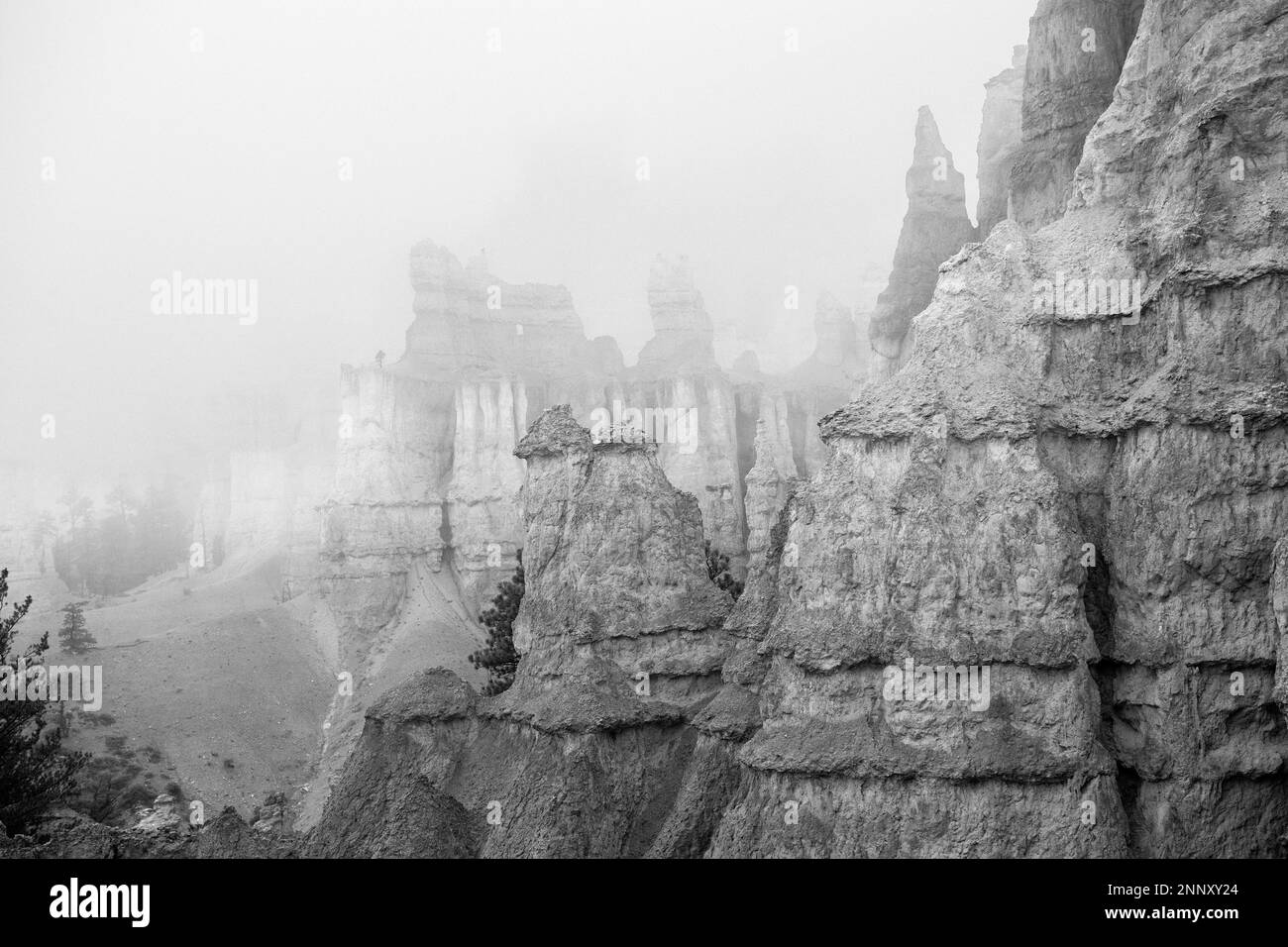 Rock formations in fog, Bryce Canyon, Utah, USA Stock Photo