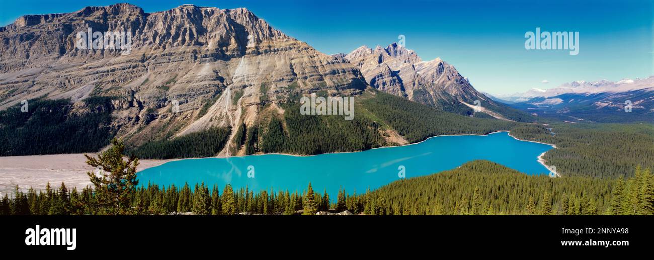 Peyto Lake and Canadian Rockies, Banff National Park, Alberta, Canada ...