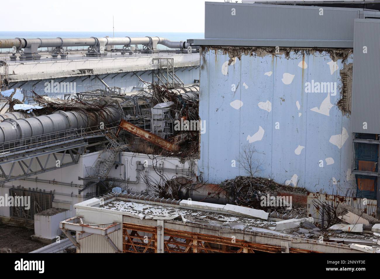 A tsunami in japan caused a meltdown of reactors at