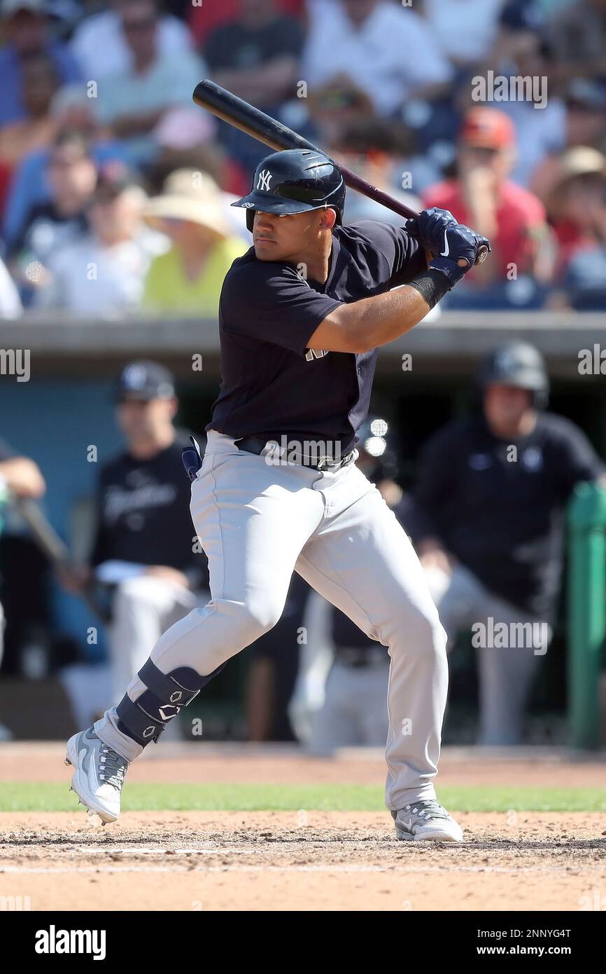 CLEARWATER, FL - FEBRUARY 25: New York Yankees Outfielder Jasson