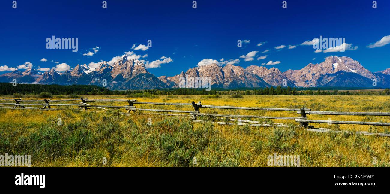 Grand Teton Range across field, Wyoming, USA Stock Photo