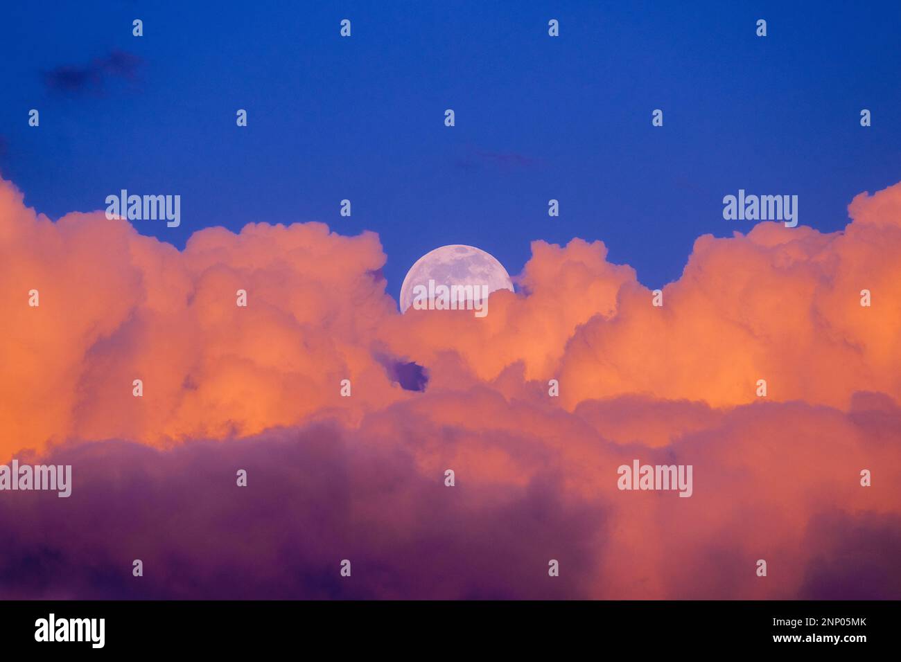 Pink clouds and full moon at sunset Stock Photo Alamy