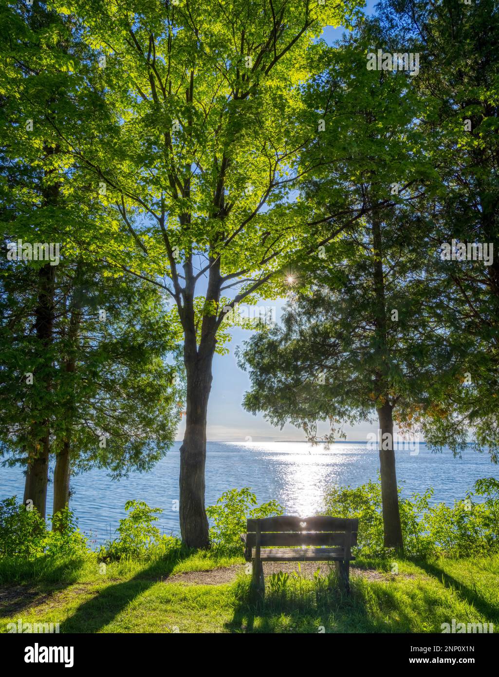 Trees and lake landscape, Lake Michigan, Peninsula State Park, Door