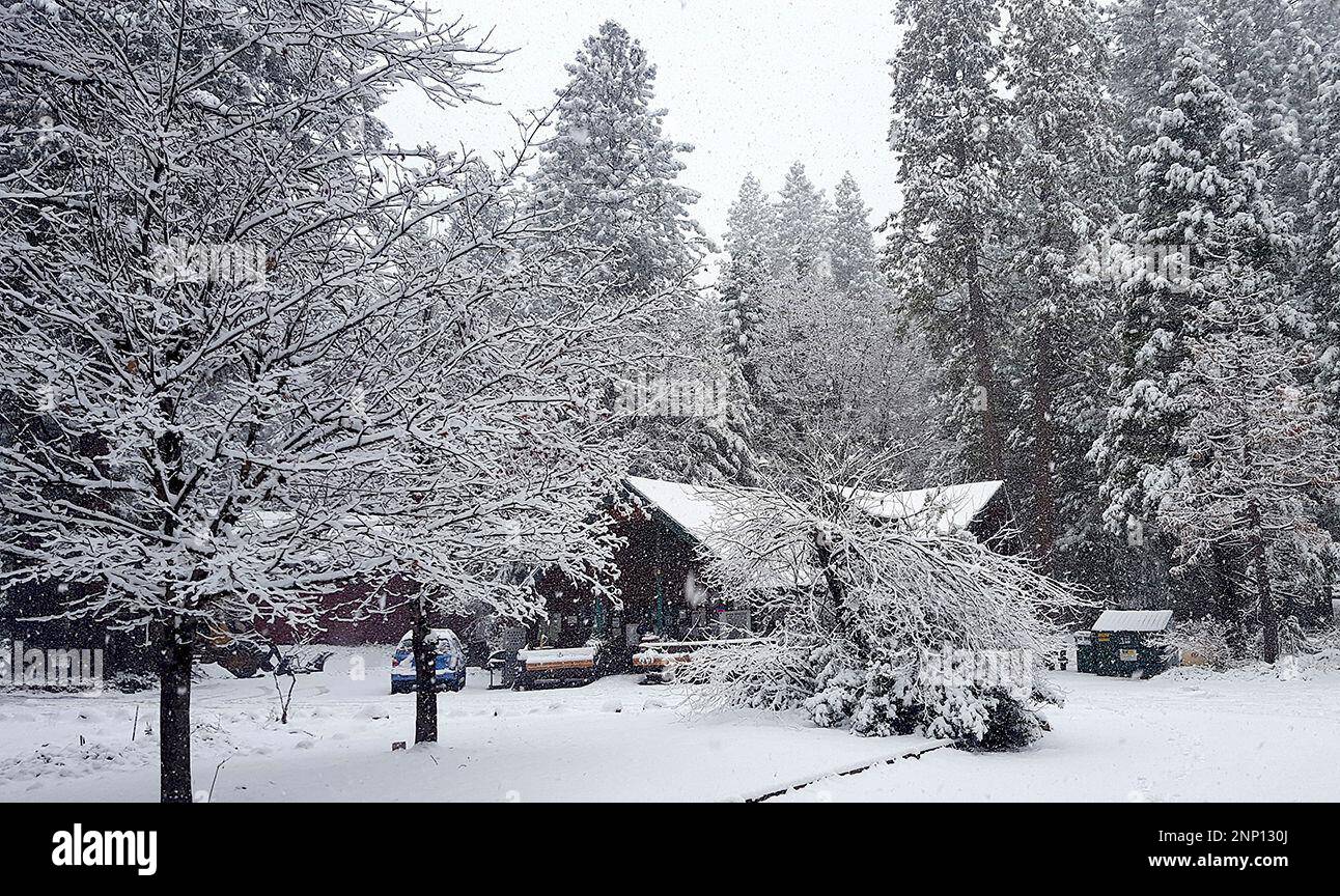 The Cascade Shores General Store is shrouded in a blanket of white snow