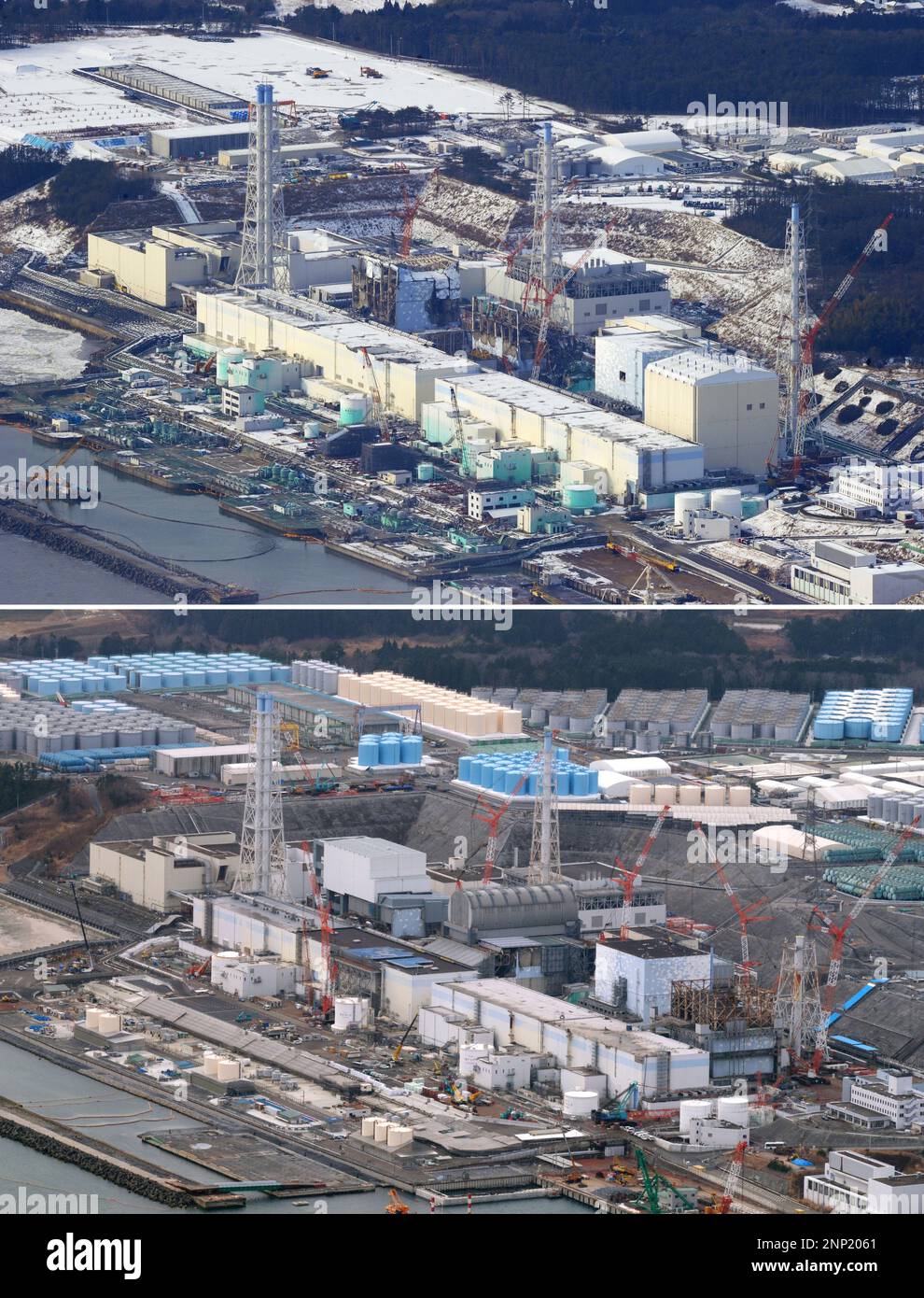 Fukushima tsunami magnitude