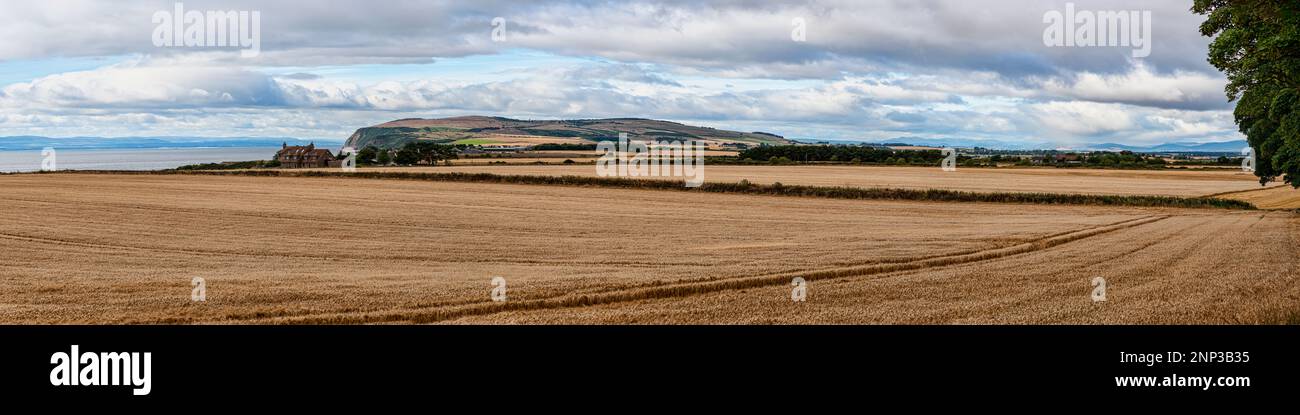 Clouds over Barley Field, Scotland, United Kingdom Stock Photo