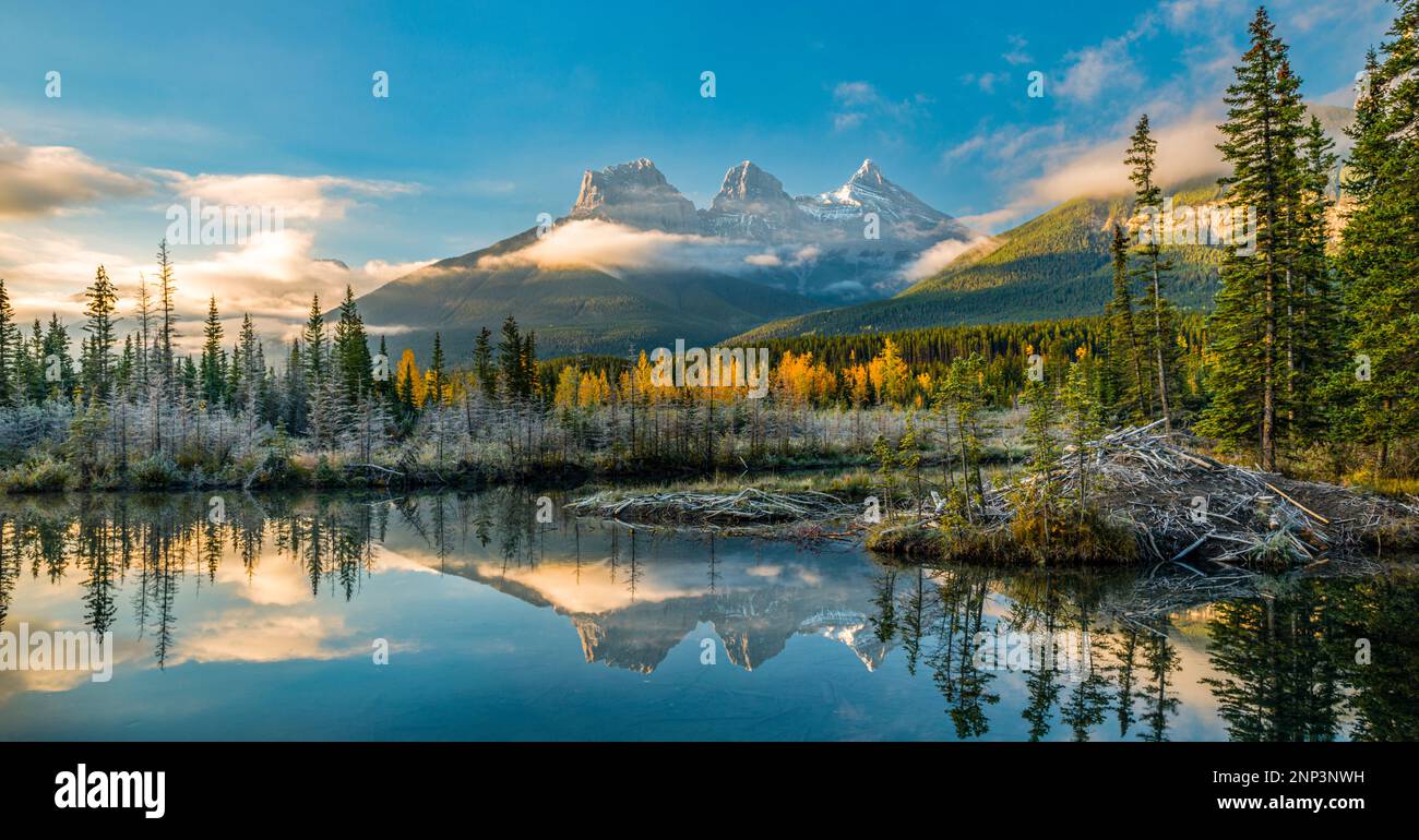 Beaver Lodge and Pond, Three Sisters Mountain, Alberta, Canada Stock
