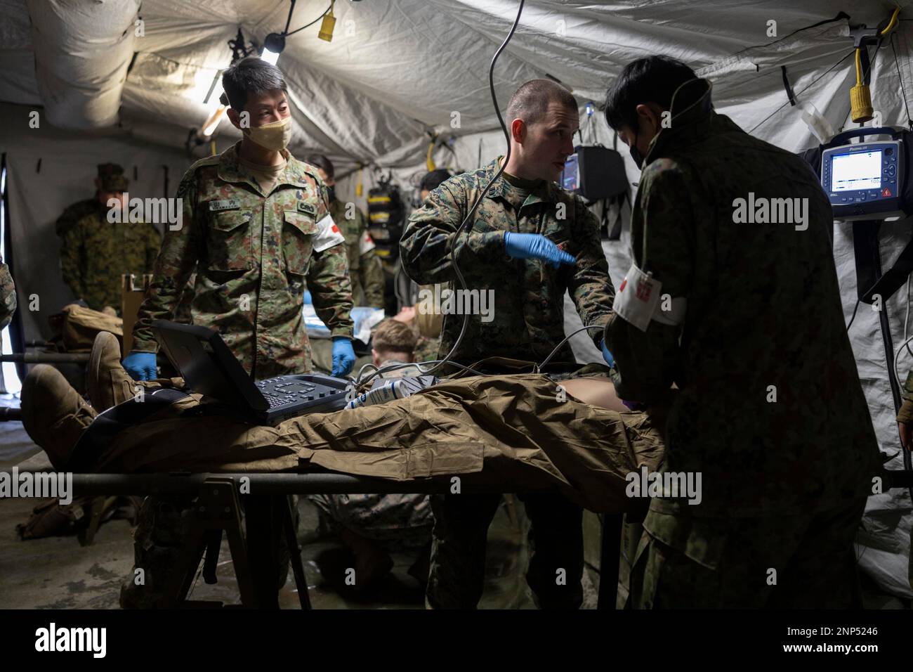Hijudai, Japan. 19th Feb, 2023. U.S. Navy corpsmen with the 31st Marine Expeditionary Unit, and soldiers with the 1st Amphibious Rapid Deployment Regiment, Japan Ground Self-Defense Force, examine vital signs on a simulated casualty during a mass casualty exercise at Hijudai, Japan on February. 19, 2023. The training simulated a mass casualty event granting the bi-lateral medical team an opportunity to actively practice medical care in the field with closely simulated pressure and conditions during Iron Fist 23. Iron Fist is an annual bilateral exercise designed to increase interoperabili Stock Photo