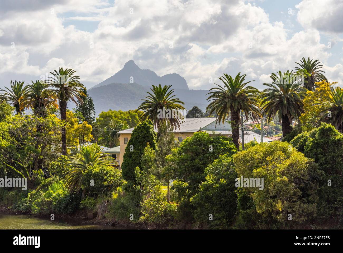View of Mount Warning aka Wollumbin near murwillumbah, new south wales