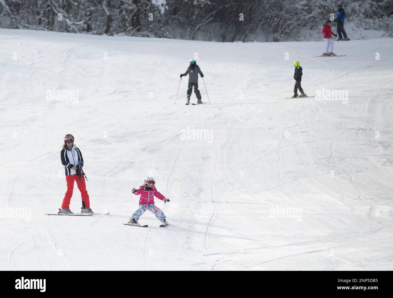 Amber Schaus, of Penn Township, and her daughter Brynn, 3, ski down a