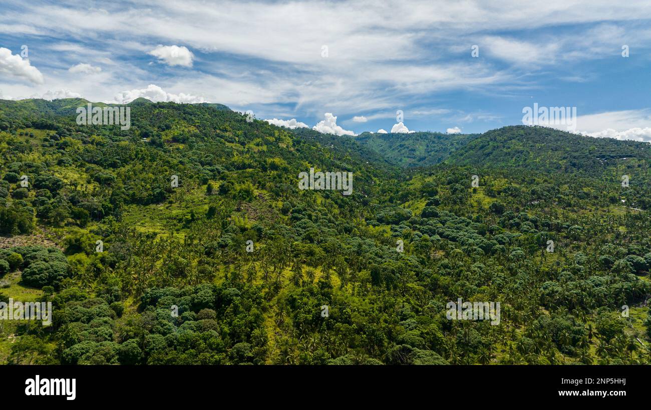 Mountain range with green tropical vegetation. Negros, Philippines ...
