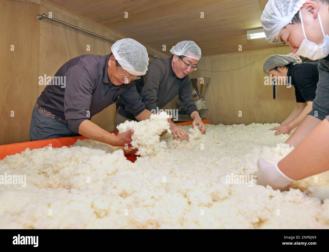 Staffs make sake (Japanese rice wine) by mixing steamed rice with