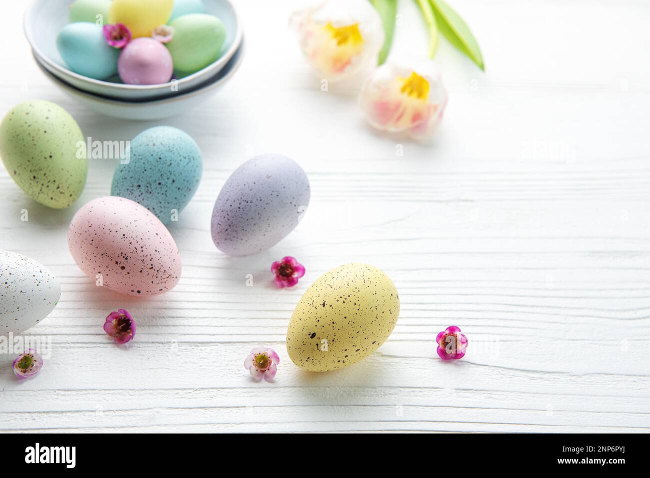 Easter eggs painted pastel colors and pink tulips on a white wooden ...