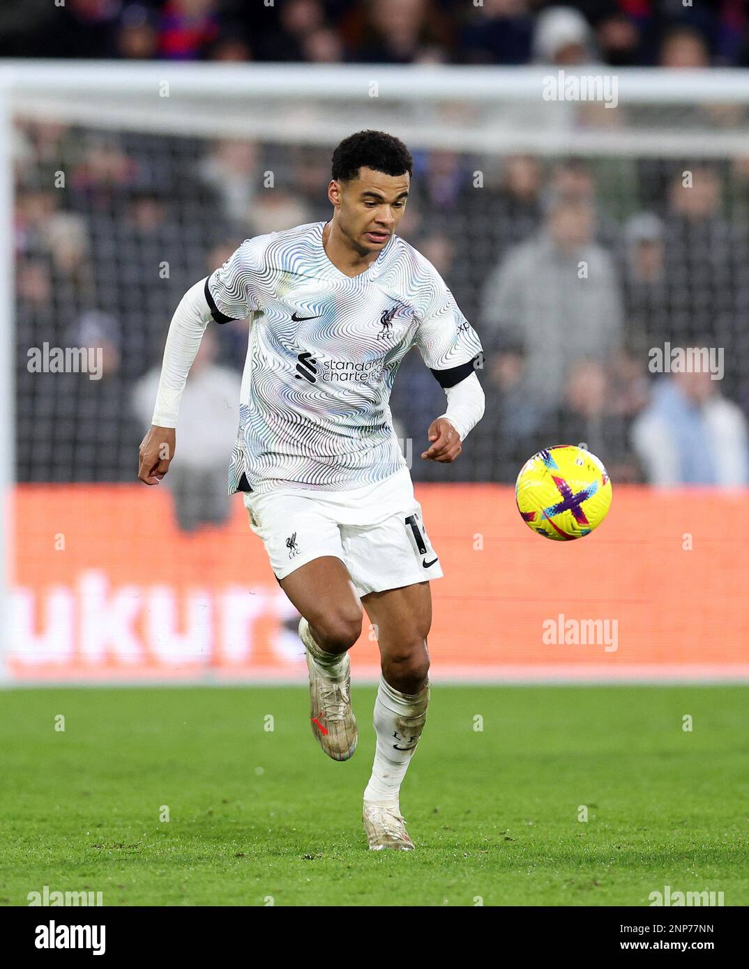 London, England, 25th February 2023. Cody Gakpo of Liverpool during the Premier League match at Selhurst Park, London. Picture credit should read: David Klein / Sportimage Stock Photo
