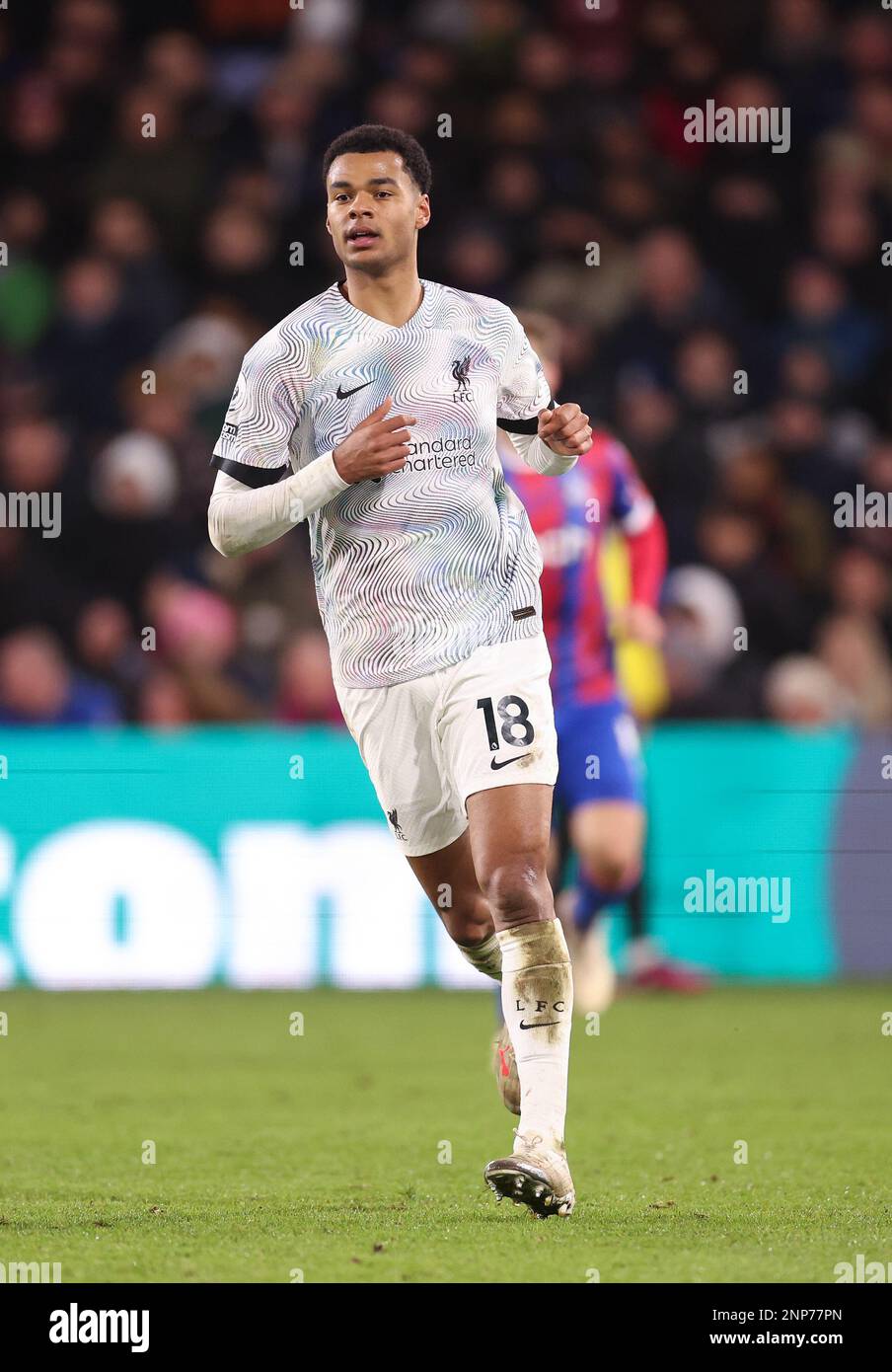 London, England, 25th February 2023. Cody Gakpo of Liverpool during the Premier League match at Selhurst Park, London. Picture credit should read: David Klein / Sportimage Stock Photo