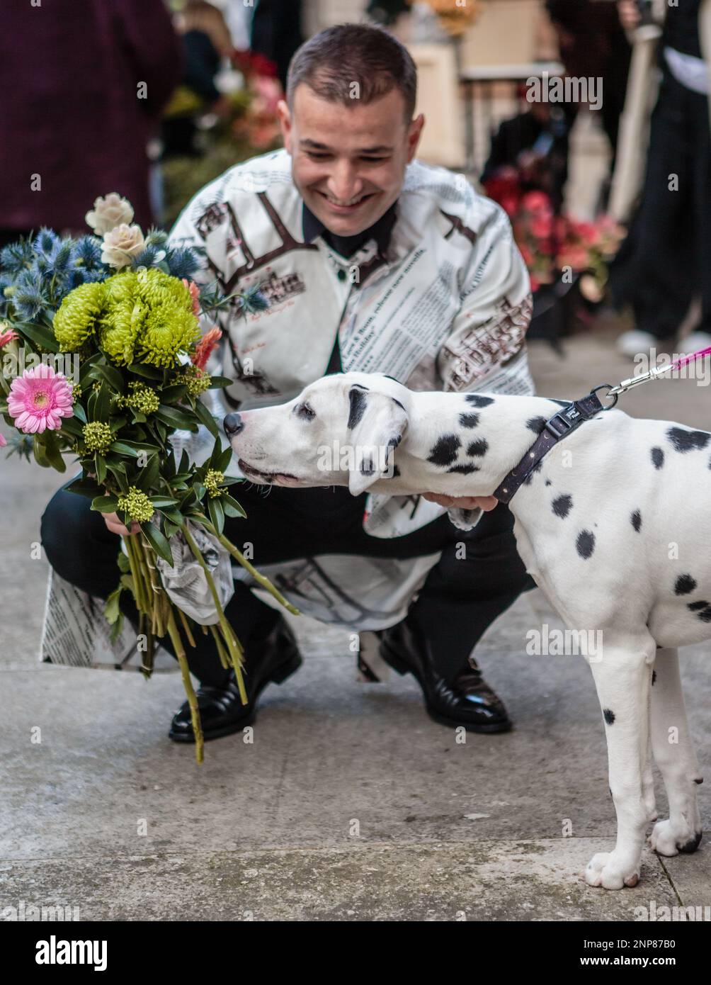 LFW: Edeline Lee’s ‘London Holiday’ around Mayfair. A dalmation enjoys the aroma from a bunch of flowers. Stock Photo