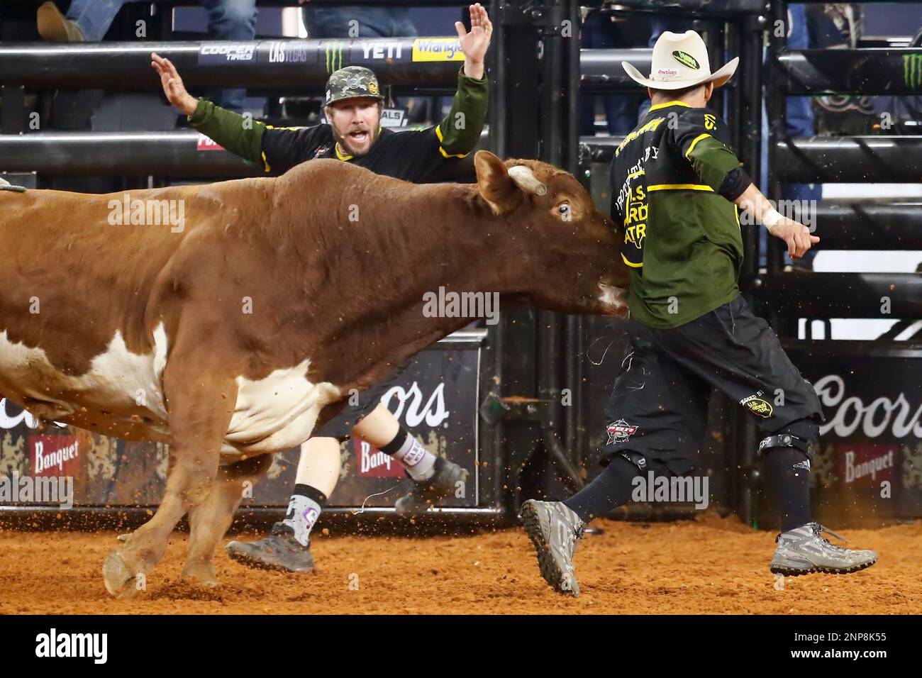 ARLINGTON, TX - NOVEMBER 14: Bull Marquis Metal Works Coriolis Effect ...