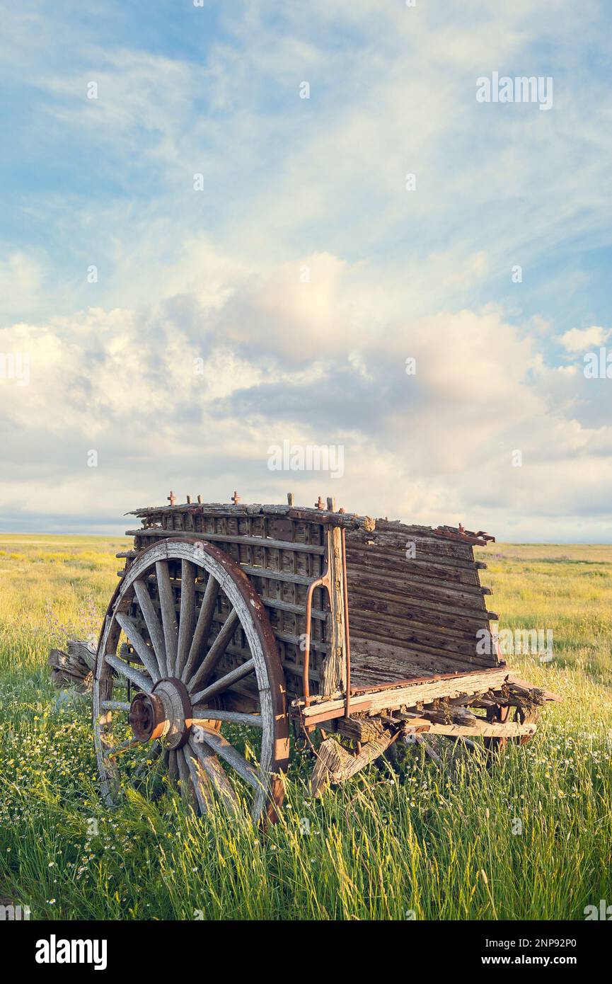 Antique wooden cart used for field work, in the foreground with daylight and blue sky Stock Photo