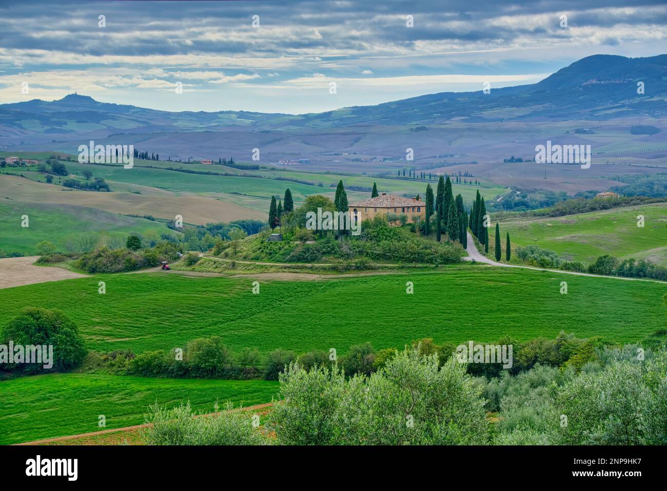 Location:43° 3' 48.49' N, 11° 33' 36.62' E Cordella in Montalcino Wine Resort  Taken @Siena, Italy Siena, Tuscany, 53026, Italy Stock Photo