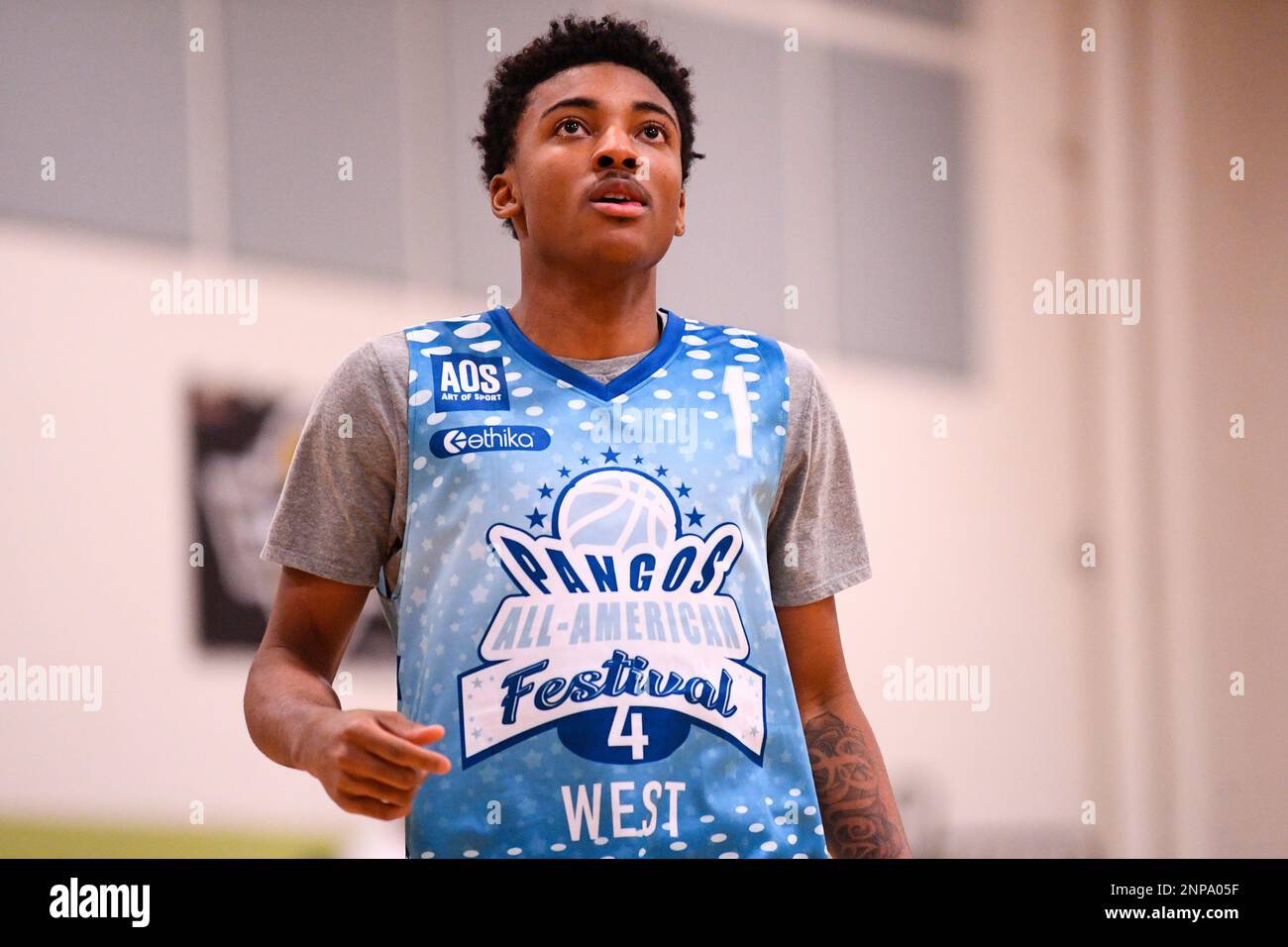 Zaon collins deals