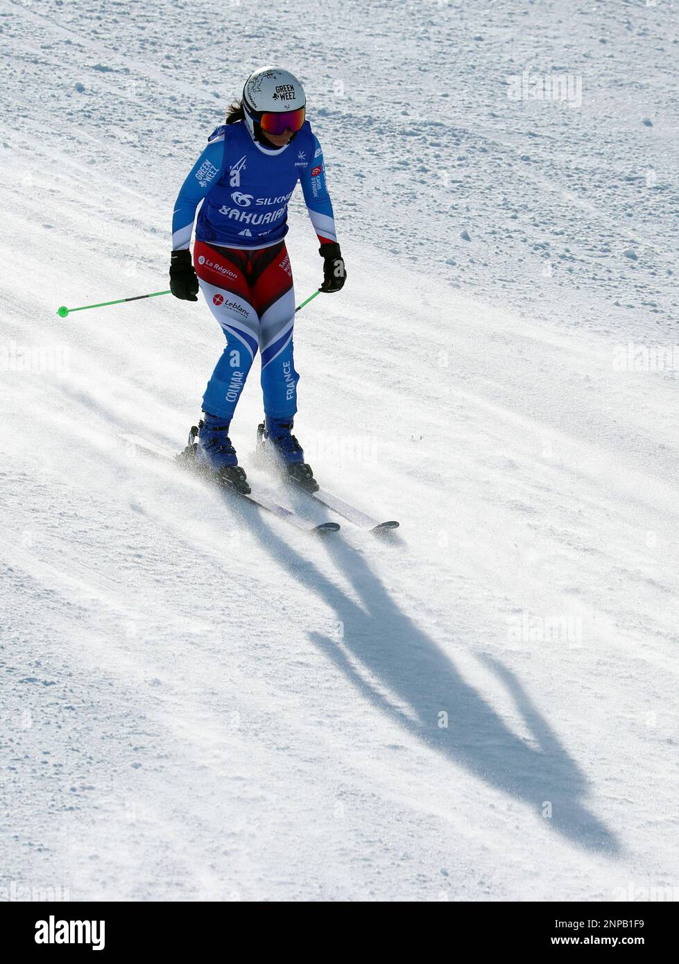 Freestyle Skiing FIS Freestyle Ski and Snowboarding World Championships Bakuriani,