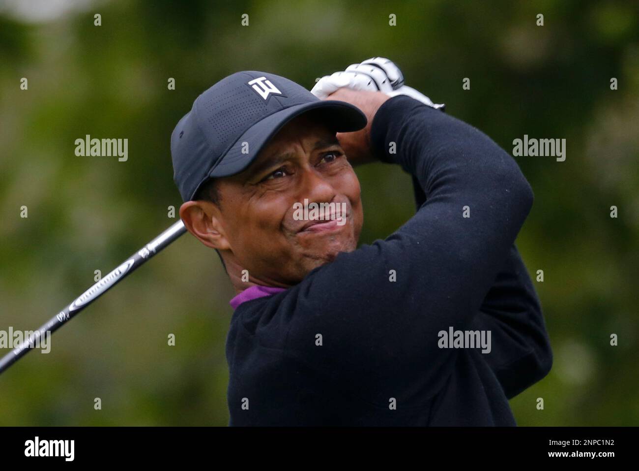 Tiger Woods in actions during the second round of the Zozo Championship golf tournament Friday, Oct