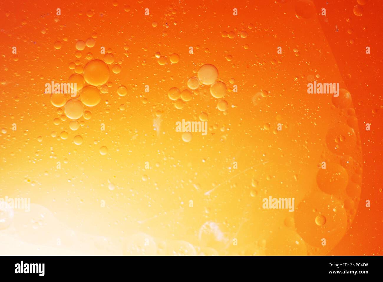 Gold Oil bubbles close up. circles of orange water macro. abstract