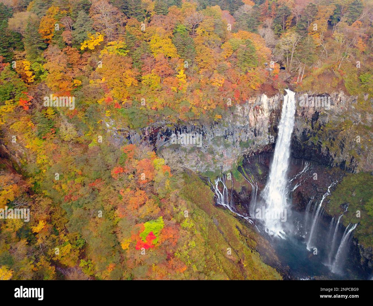 The Kegon no Taki falls are surrounded by Mongolian oak, maple 