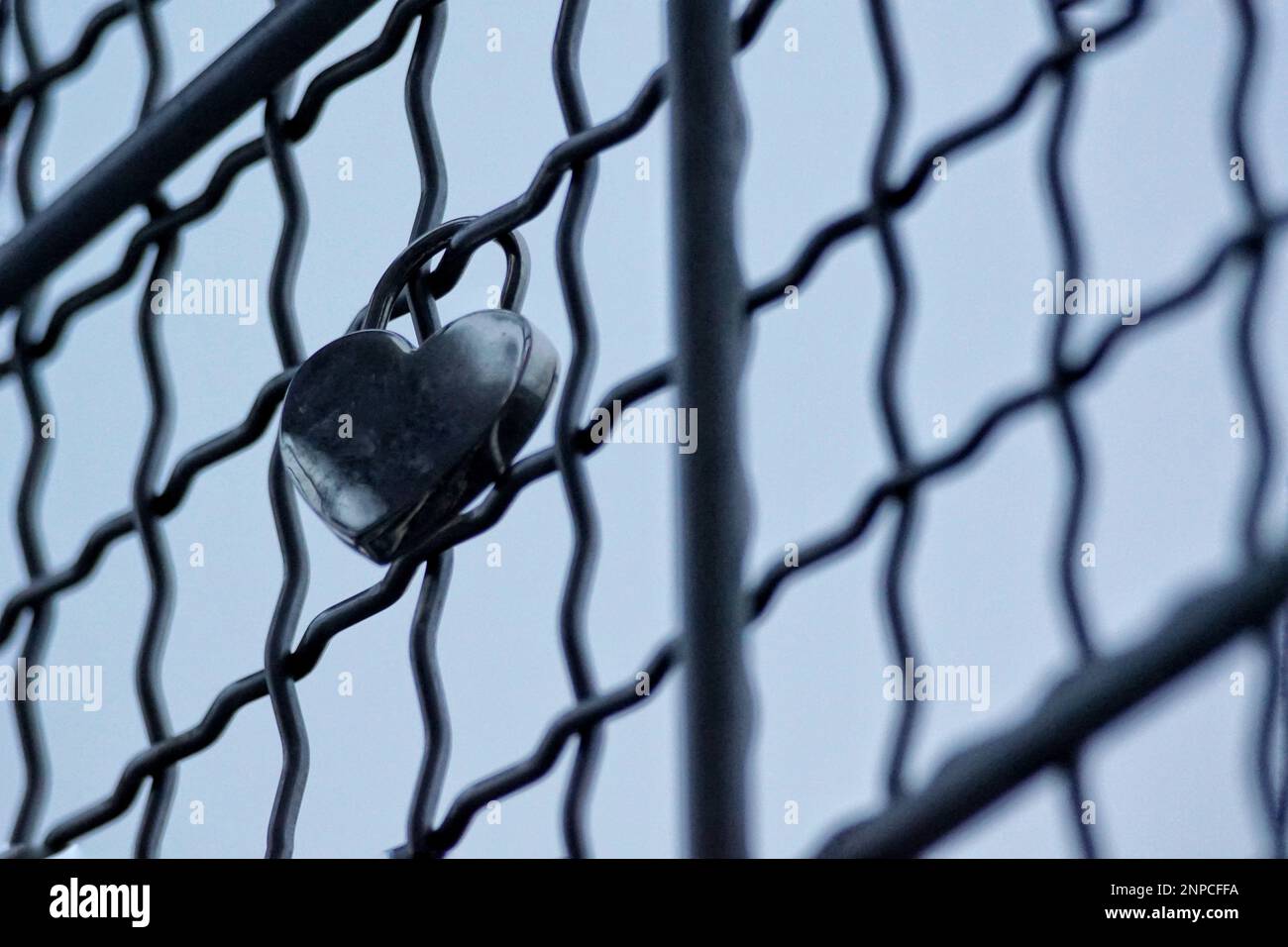 Close up of padlock on chainlink fence Stock Photo