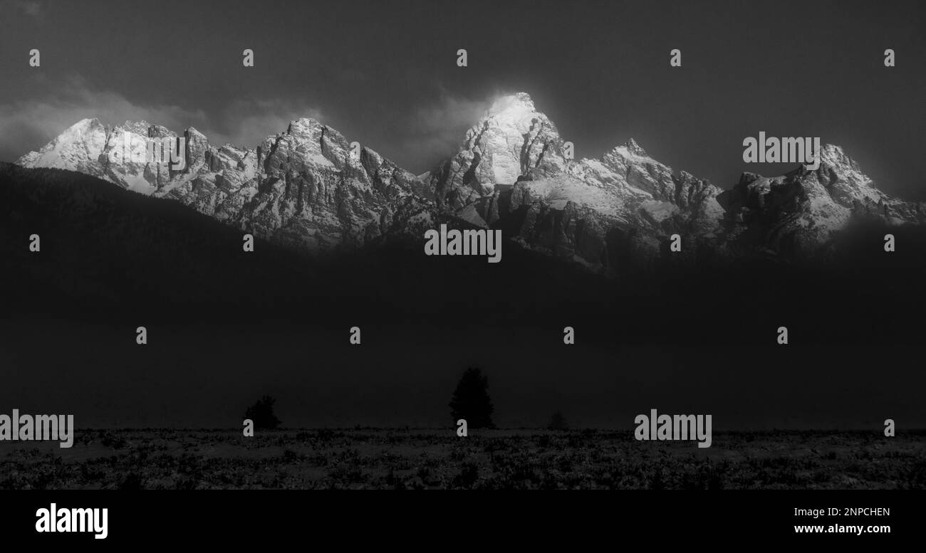 Forest grand teton national Black and White Stock Photos & Images - Alamy