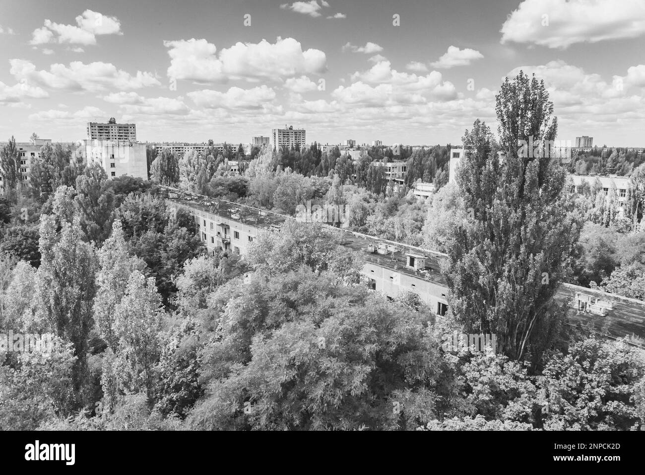 Ghost town Pripyat overgrown by wild self-seeding forest Stock Photo