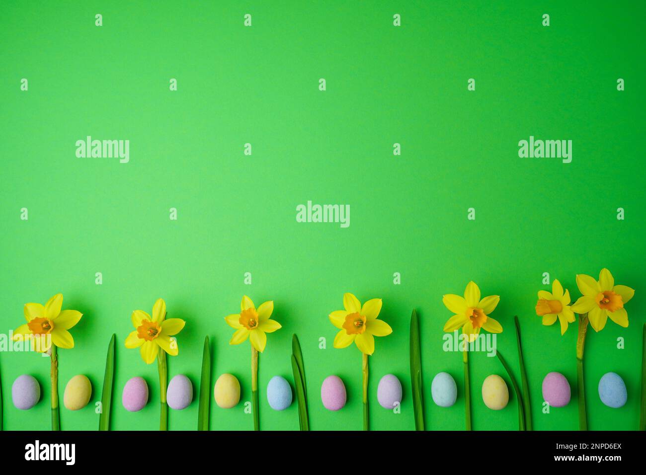 Yellow narcissus and easter eggs on green background. Spring, easter concept. Flat lay, top view, copy space. Stock Photo