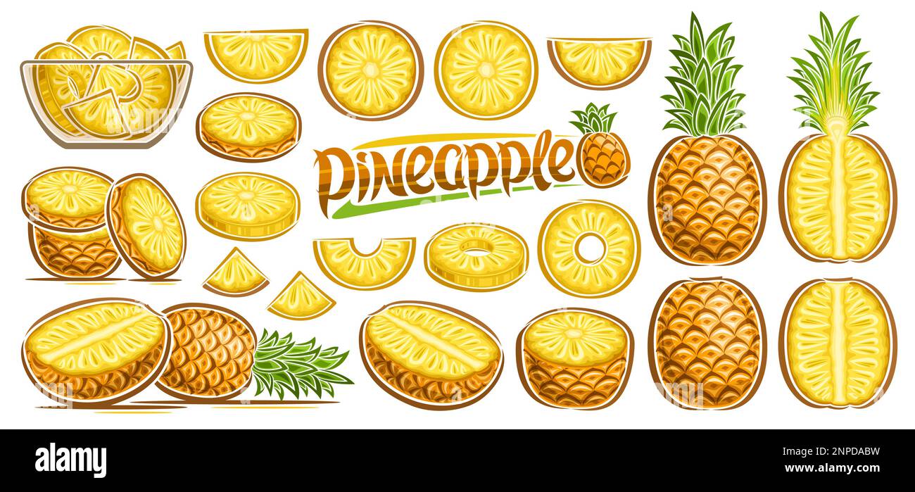 Vector Pineapple Set, lot collection of cut out illustrations fruit still life composition, ripe chopped pineapple fruit with green leaves in glass di Stock Vector